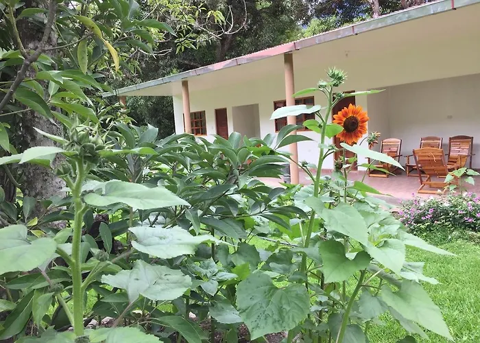 El Mangal * Maranura
