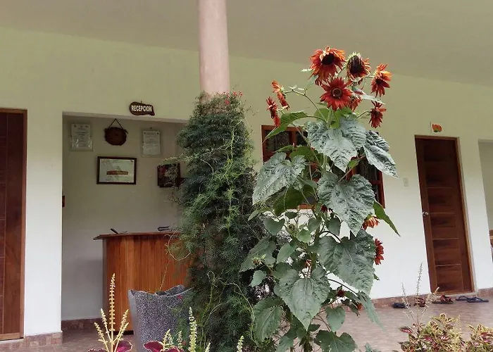 El Mangal