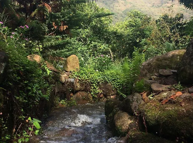 El Mangal Auberge de jeunesse