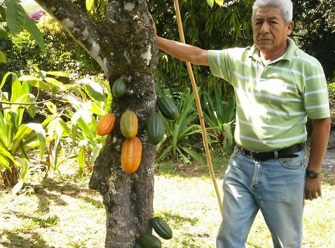 El Mangal * Maranura