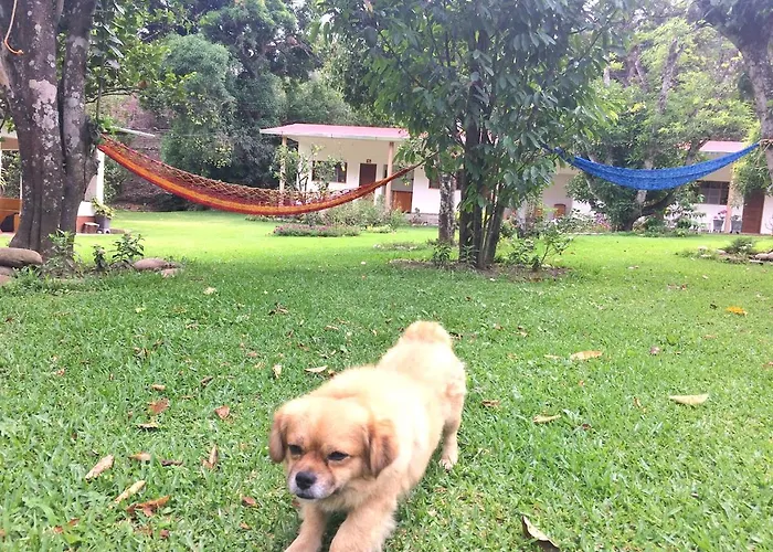 El Mangal *