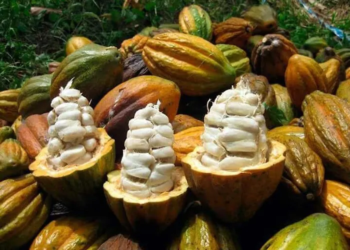 El Mangal * Maranura